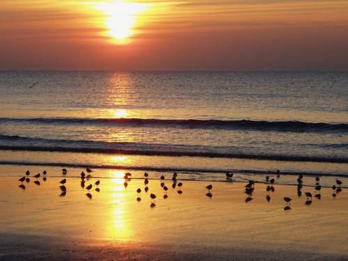 Brean Vereinigtes Königreich Last-Minute-Rabattcode Booking.com