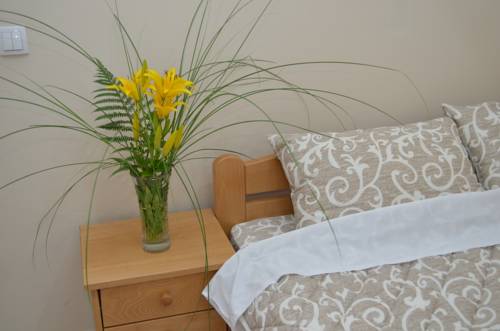 Leskovac Serbia Last Minute Discount Code Booking.com