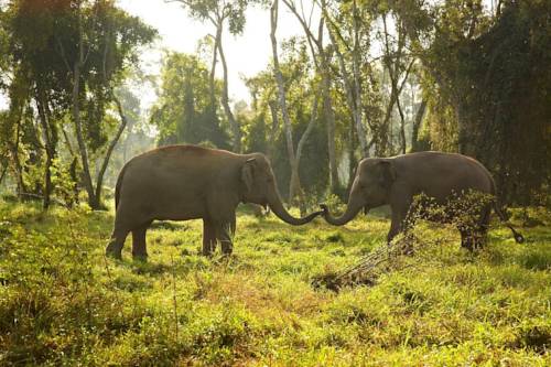 Golden Triangle, Chiang Saen Thailand Last Minute Discount Code Booking.com