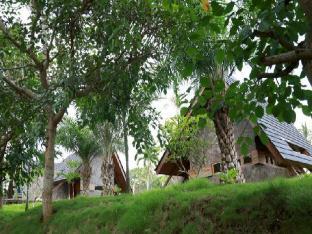 Banyuwangi Indonesia Last Minute Discount Code Agoda.com