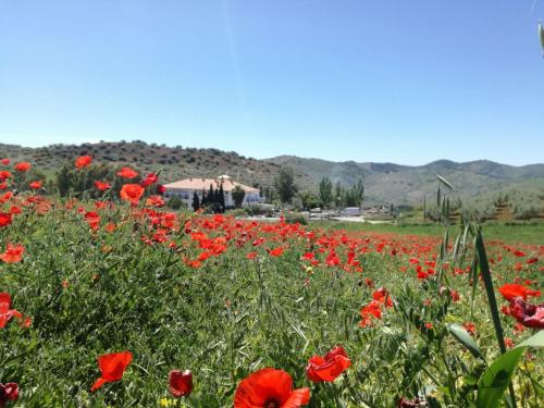 Colmenar Spain Last Minute Discount Code Agoda.com