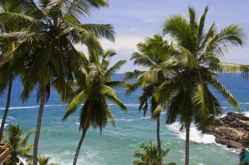 Kovalam Inde Code de réduction de dernière minute Booking.com