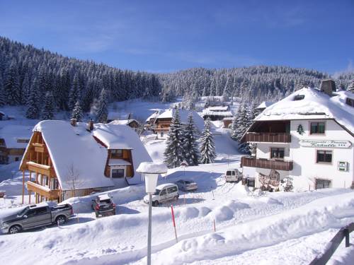 Feldberg-Neuglashütten Germany Last Minute Discount Code Booking.com