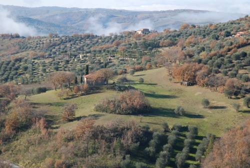 Seggiano Italien Last-Minute-Rabattcode Booking.com
