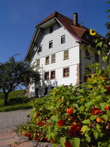 Lauterbach Alemania Último Minuto Código de Descuento Booking.com