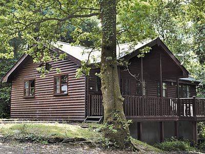 Allt Esgair Royaume-Uni Code de réduction de dernière minute Booking.com
