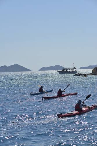 Patara Turkey Last Minute Discount Code Booking.com