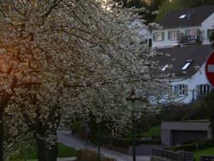 Baden-Baden Germany Last Minute Discount Code Agoda.com