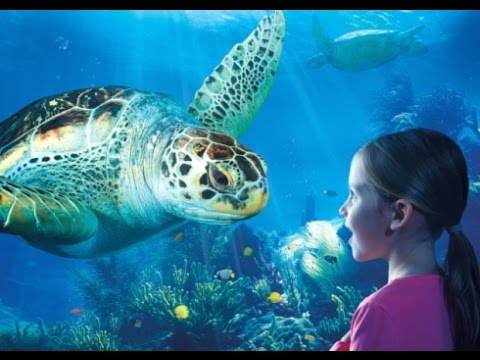 Serris Frankreich Last-Minute-Rabattcode Booking.com
