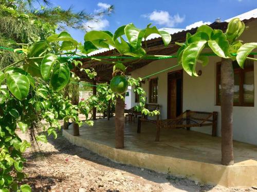 Zanzibar Tanzania Last Minute Discount Code Agoda.com