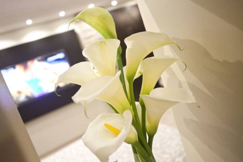 Beograd Serbia Último Minuto Código de Descuento Booking.com