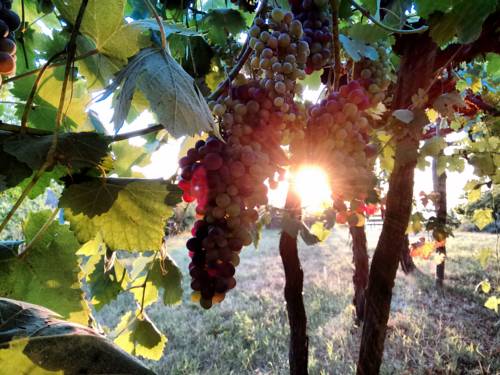 Gabiano Italien Last-Minute-Rabattcode Booking.com