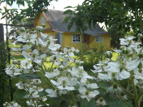 Zhulevo Russia Last Minute Discount Code Booking.com