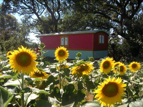 Saint-Gervais-sur-Roubion France Last Minute Discount Code Booking.com