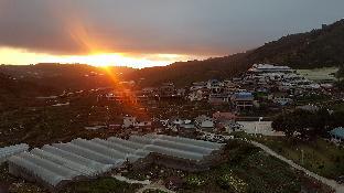 Cameron Highlands Malaysia Last Minute Discount Code Agoda.com