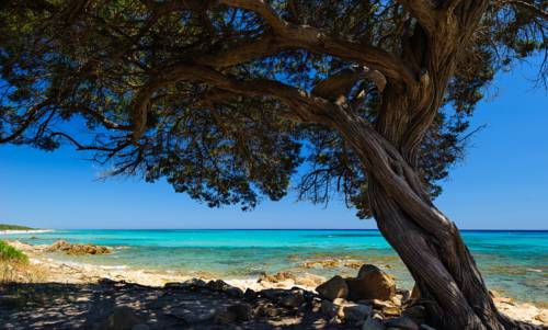 Orosei Italien Last-Minute-Rabattcode Booking.com