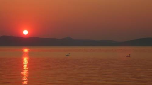 Balatonboglár Hongarije Laatste minuut Kortingscode Booking.com