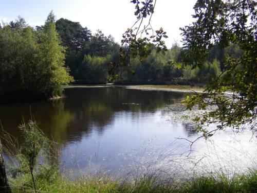 Nançay France Last Minute Discount Code Booking.com
