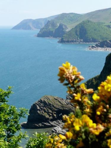 Combe Martin United Kingdom Last Minute Discount Code Agoda.com