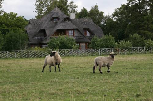 Toomalõuka Estonia Last Minute Discount Code Booking.com