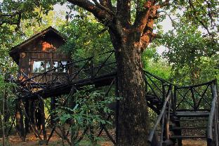 Bandhavgarh India Last Minute Discount Code Agoda.com