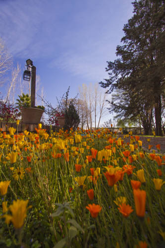 Ciudad De Luján De Cuyo Argentina Last Minute Discount Code Booking.com
