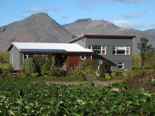 Höfn Island Last-Minute-Rabattcode Booking.com