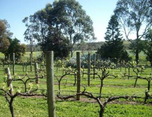 McLaren Vale Australien Last-Minute-Rabattcode Booking.com