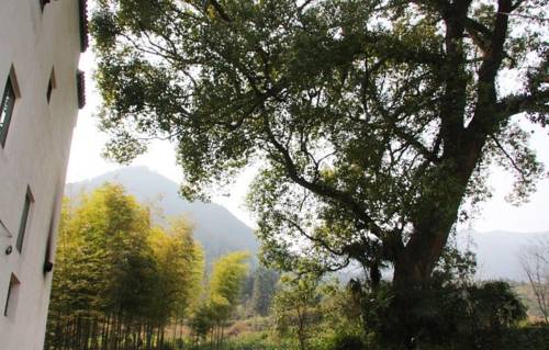 Wuyuan China Last Minute Discount Code Booking.com
