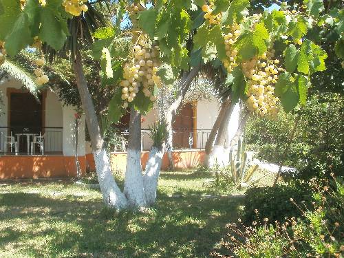 Skiathos Griekenland Laatste minuut Kortingscode Booking.com