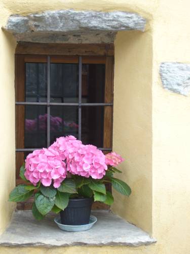 Quart Italy Last Minute Discount Code Booking.com