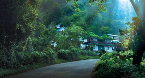 Munnar India Último Minuto Código de Descuento Booking.com
