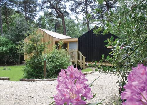 Dorset United Kingdom Last Minute Discount Code Booking.com