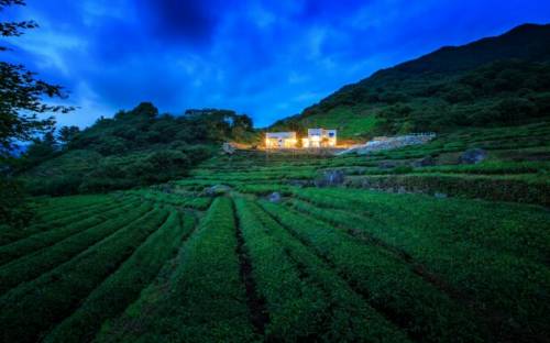 Hadong South Korea Last Minute Discount Code Booking.com