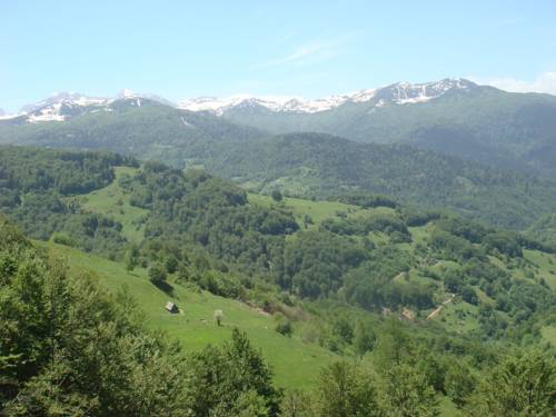 Plav Montenegro Last Minute Discount Code Booking.com