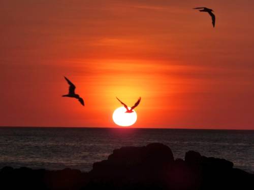 Paraiso Costa Rica Last Minute Discount Code Booking.com
