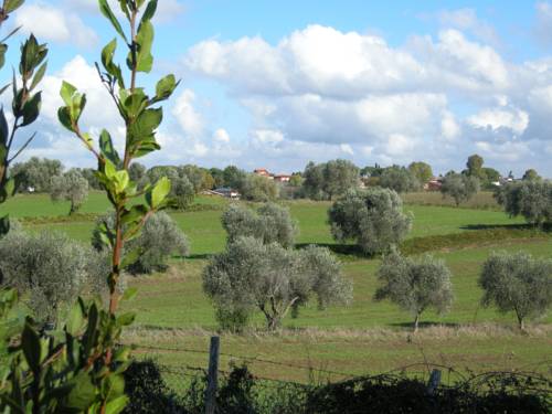 Tragliatella Italien Last-Minute-Rabattcode Booking.com