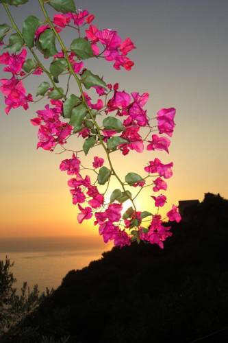 Pisciotta Italien Last-Minute-Rabattcode Booking.com