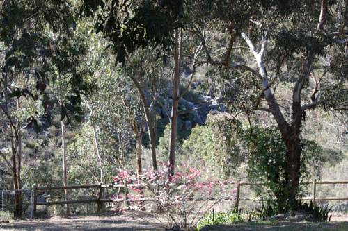 Orangenhain Australien Last-Minute-Rabattcode Booking.com