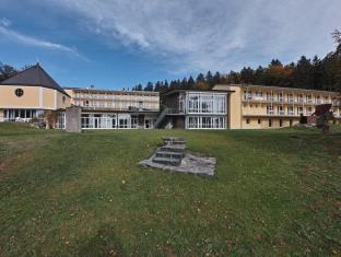 Schmitten Germany Last Minute Discount Code Agoda.com