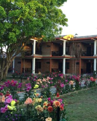 Chitwan Nepal Last Minute Discount Code Agoda.com