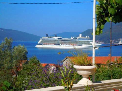 Donja Lastva Montenegro Last Minute Discount Code Booking.com
