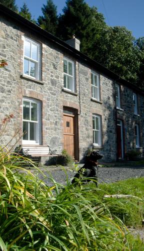 Llanwrtyd Wells United Kingdom Last Minute Discount Code Agoda.com