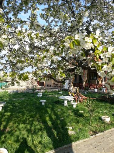 Itesti Romania Last Minute Discount Code Booking.com