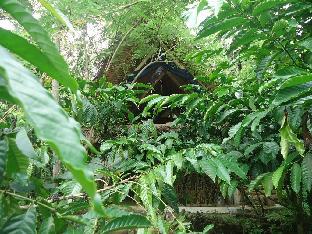 Banyuwangi Indonesia Last Minute Discount Code Agoda.com