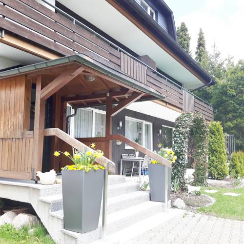 Schluchsee Germany Last Minute Discount Code Booking.com