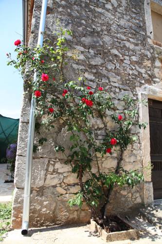 Fernetići Croatie Code de réduction de dernière minute Booking.com