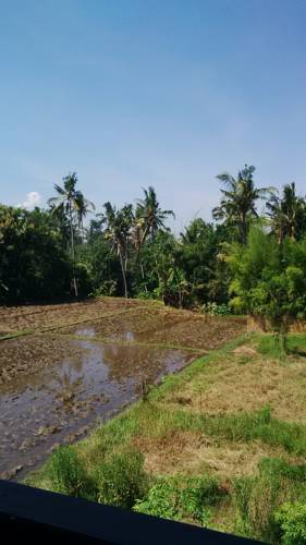 Ubud Indonesia Último Minuto Código de Descuento Booking.com