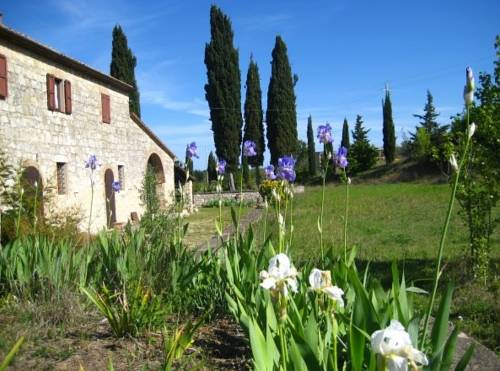 Sarteano Italië Laatste minuut Kortingscode Booking.com
