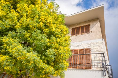 Asís Italia Último Minuto Código de Descuento Booking.com